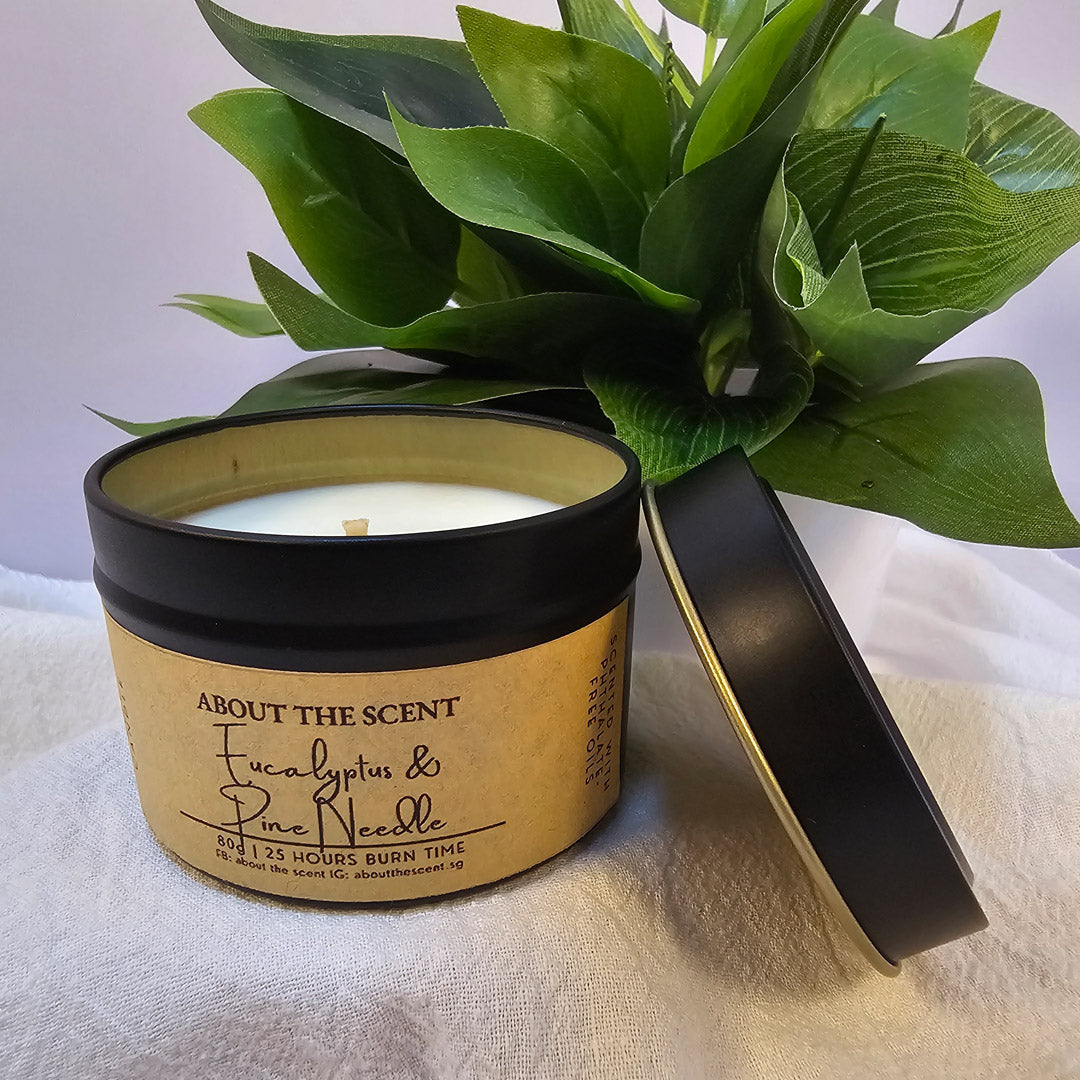 Fresh Eucalyptus & Pine Needle